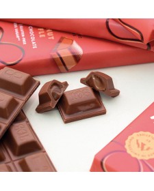 Tablette Chocolat Suisse Praliné 100g, Vegan & Bio
